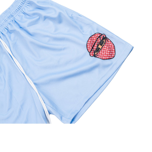 basketball shorts-Blue